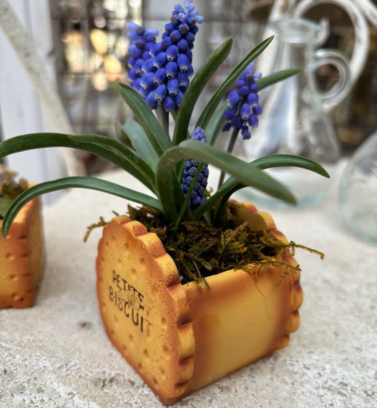 Creative Biscuit Mini Flower Pots, Fun Desktop Decoration
