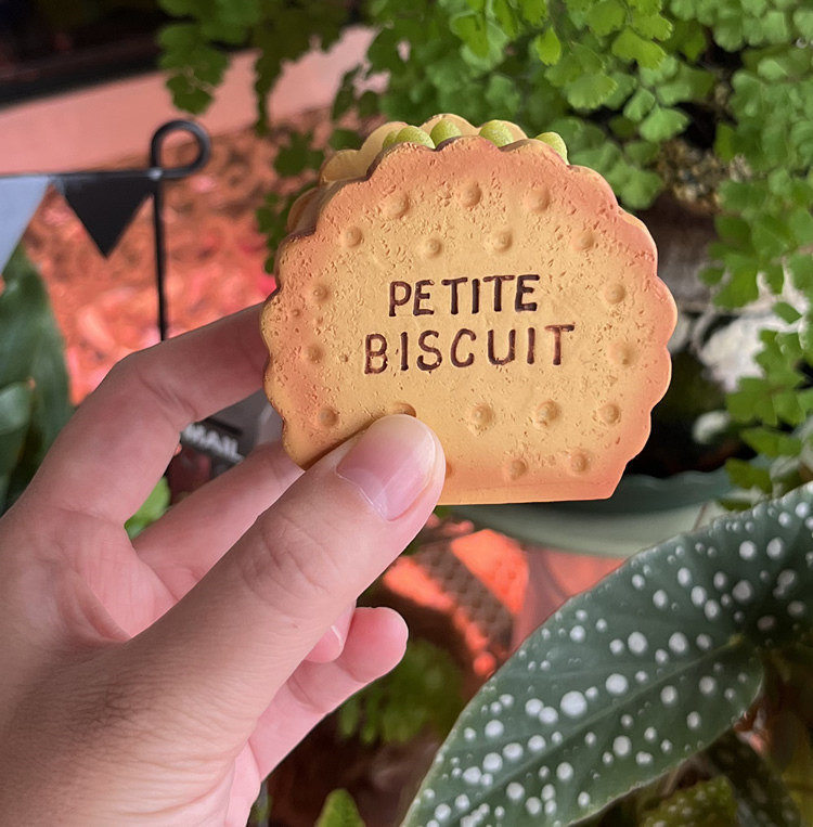 Creative Biscuit Mini Flower Pots, Fun Desktop Decoration