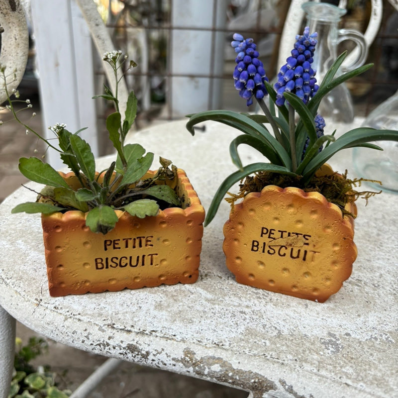 Creative Biscuit Mini Flower Pots, Fun Desktop Decoration