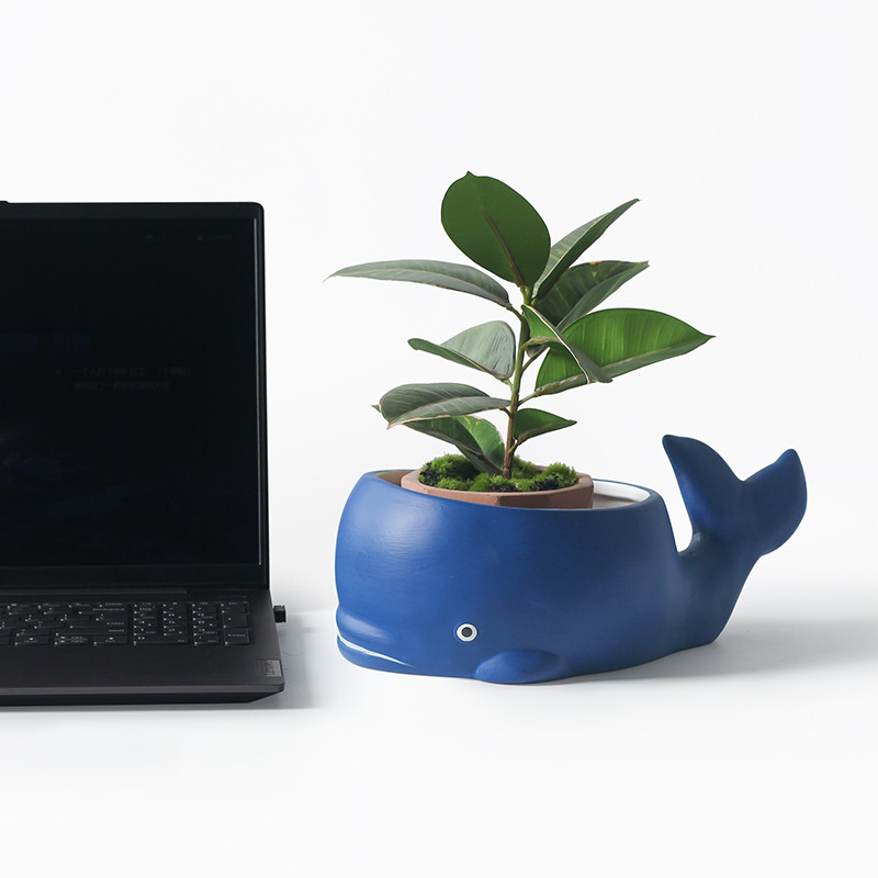 Creative Ceramic Whale Plant Flower Pot, Garden Decoration