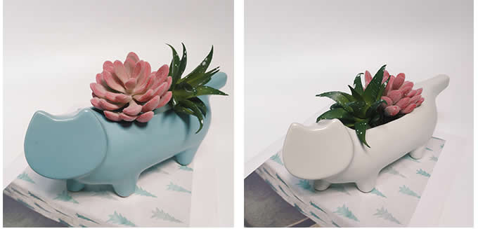  Cat Ceramic Succulent Planter Flower Pot