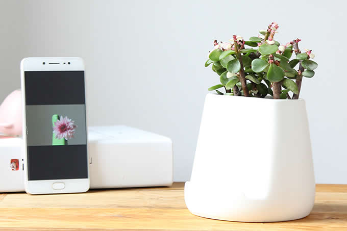 Ceramic Vase Smartphone Holder Stand 