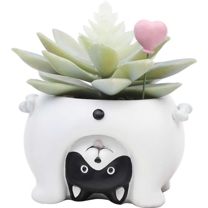  Cute Animal Flowerpot Animal Resin Succulent Planter 