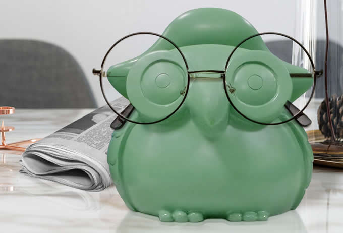 Cute Owl Eyeglass Holder / Spectacle Display Stand