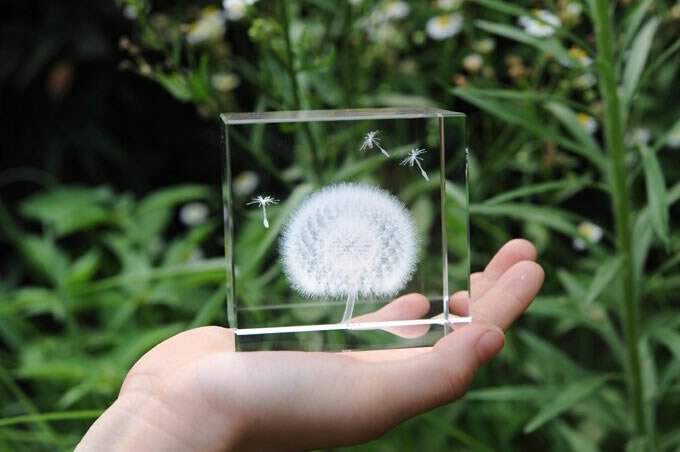 Dandelion Crystal Cube