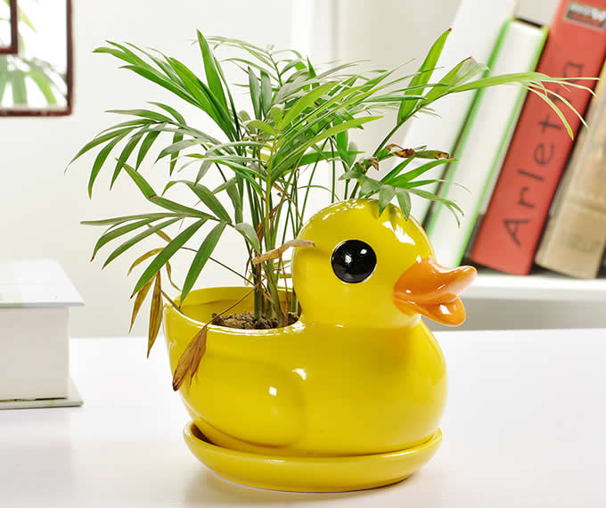 Duck Ceramic Succulent Planter Flower Pot - FeelGift