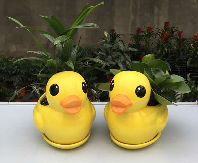 Duck Ceramic Succulent Planter Flower Pot