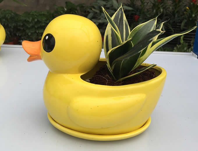 Duck Ceramic Succulent Planter Flower Pot