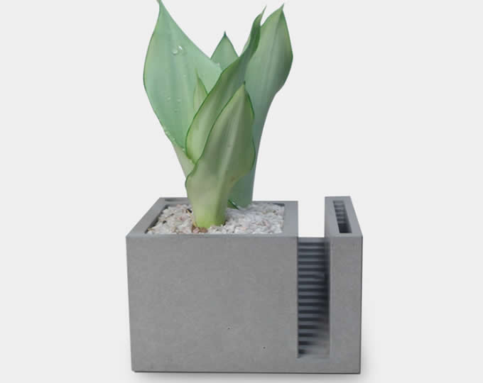 Handmade Concrete Architectural Style Succulent Planter / Plant Pot / Flower Pot / Bonsai Pot With Pen Stand