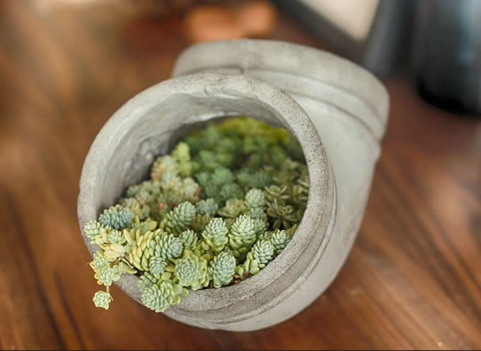  Handmade Concrete  Water Pipe  Succulent / Planter / Plant Pot / Flower Pot