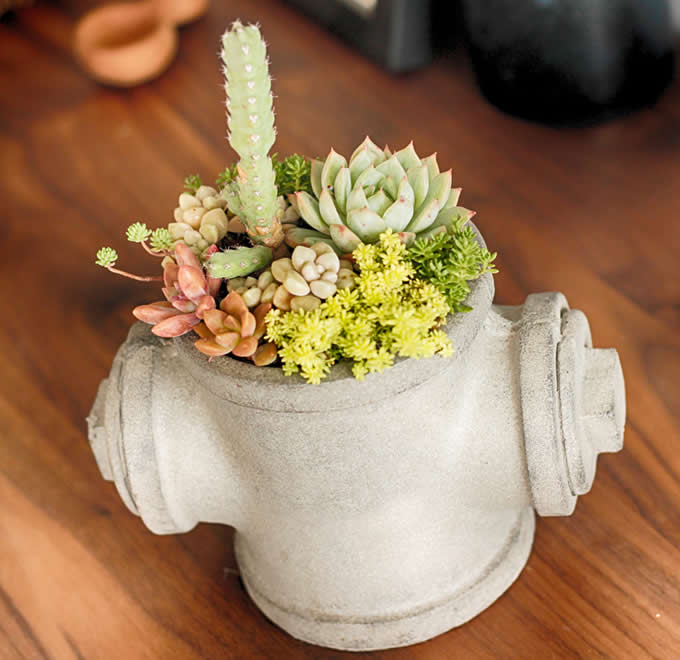  Handmade Concrete  Water Pipe  Succulent / Planter / Plant Pot / Flower Pot