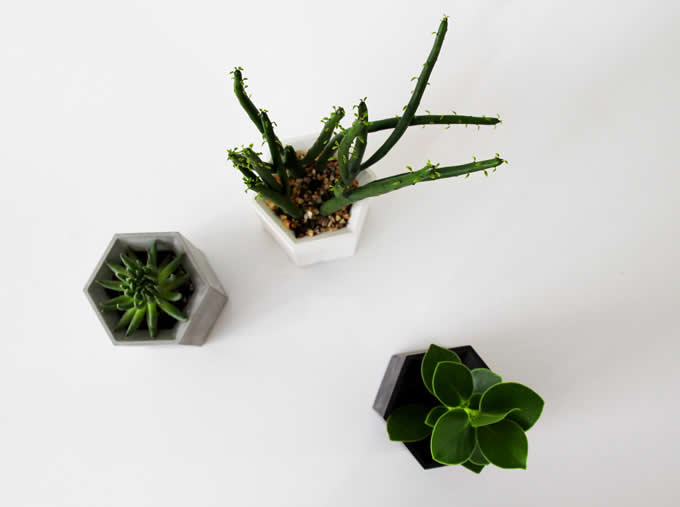 Handmade Hexagon Concrete Succulent Planter Flower Pot