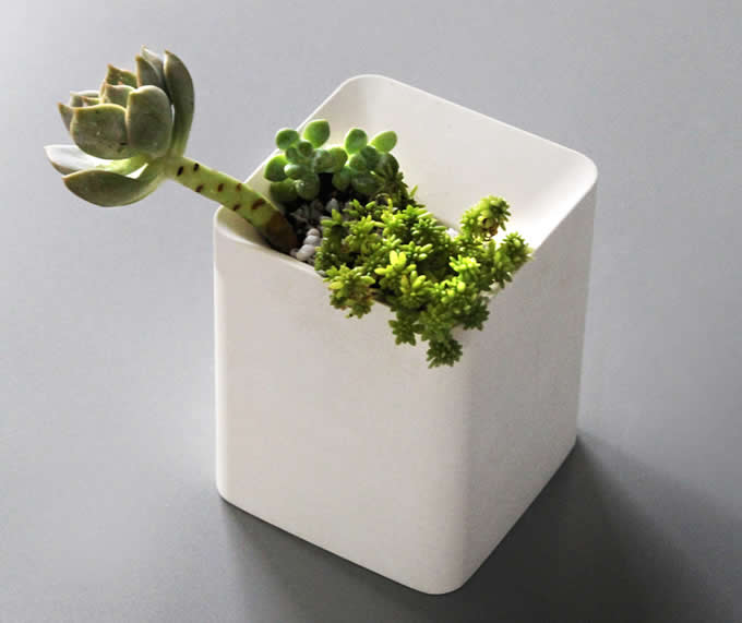   Modern Geometric Concrete Succulent Planter/Plant Pot /Flower Pot 