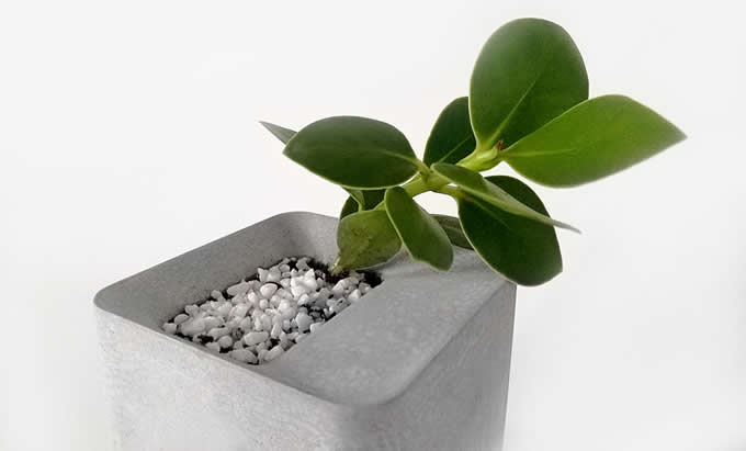   Modern Geometric Concrete Succulent Planter/Plant Pot /Flower Pot 