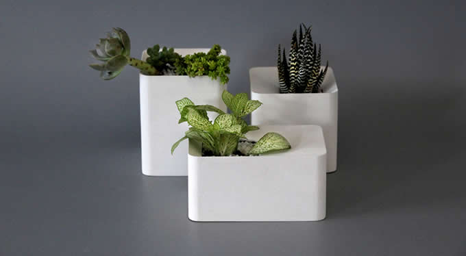   Modern Geometric Concrete Succulent Planter/Plant Pot /Flower Pot 