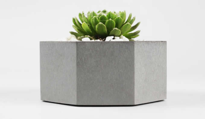 Octagon Geometric Design Succulent Planter Pot, Gray