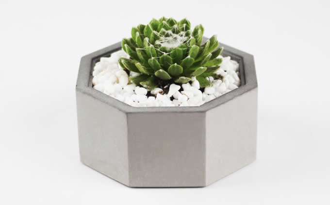 Octagon Geometric Design Succulent Planter Pot, Gray