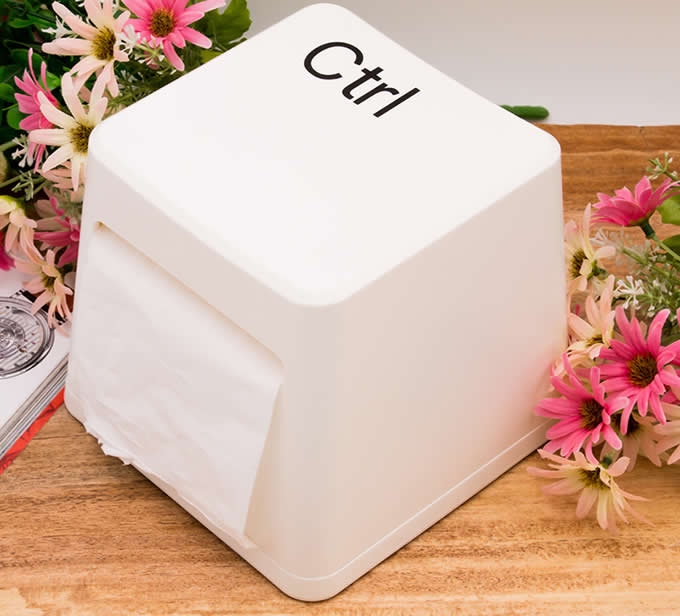 Power  Ctrl Del Keyboard Key Tissue Box 