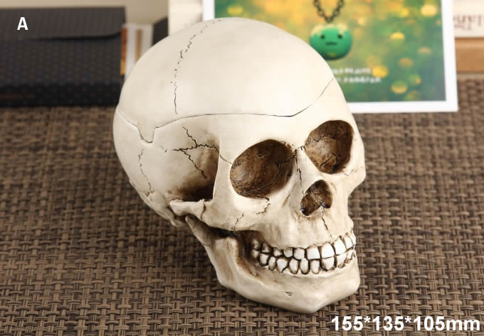  Skull Head Ashtray 