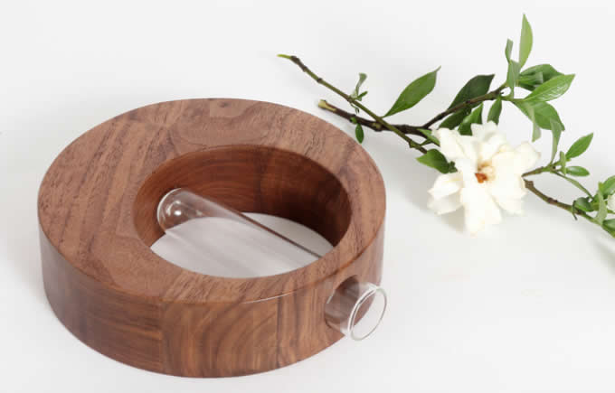    Test Tube Planter Flower Vase with Wood Base Stand