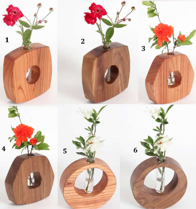    Test Tube Planter Flower Vase with Wood Base Stand