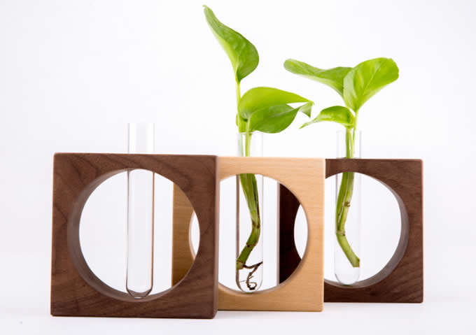 Test Tube Planter Flower Vase with Wooden Base Stand