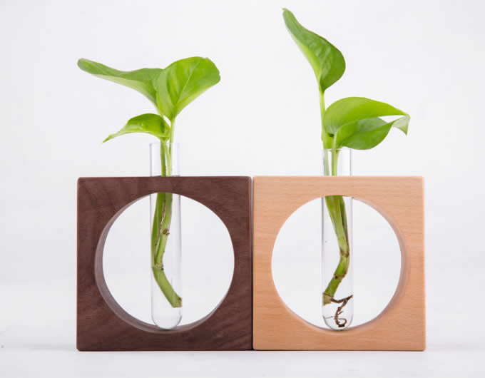 Test Tube Planter Flower Vase with Wooden Base Stand