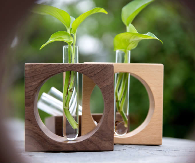 Test Tube Planter Flower Vase with Wooden Base Stand