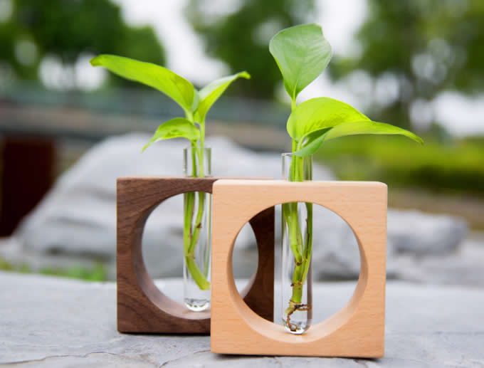 Test Tube Planter Flower Vase with Wooden Base Stand