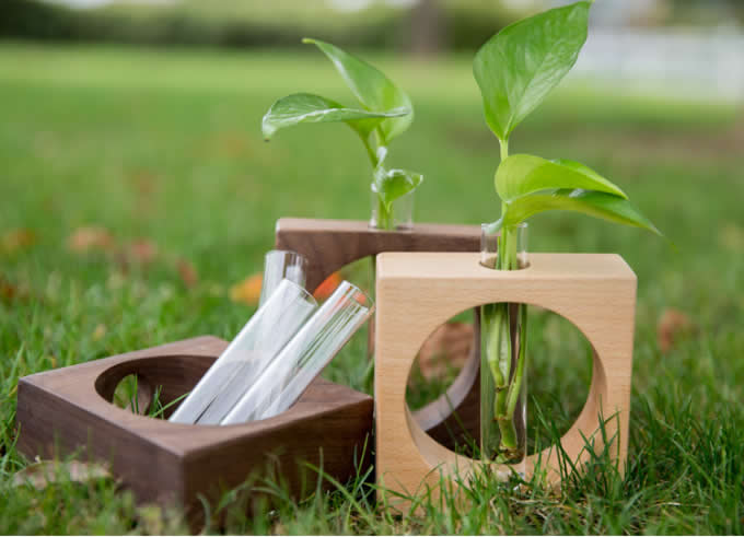 Test Tube Planter Flower Vase with Wooden Base Stand