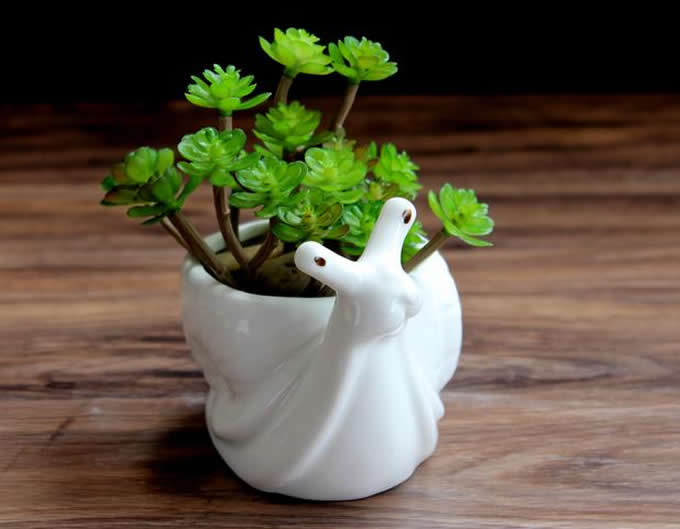 White Ceramic  Snail Succulent Planter/Plant Pot/Flower Pot