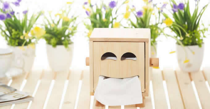  Wooden Face Tissue Box