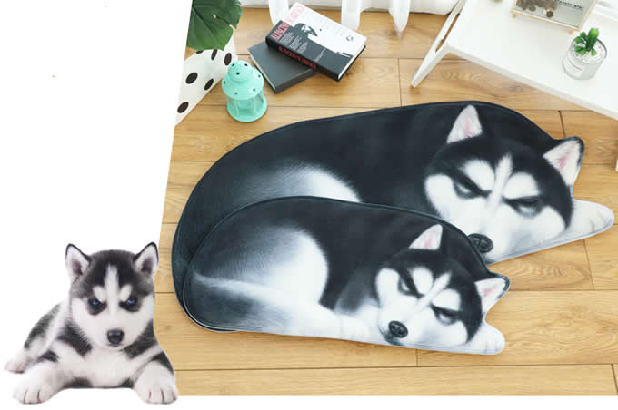  Dog Style Area Floor Mat/Rug