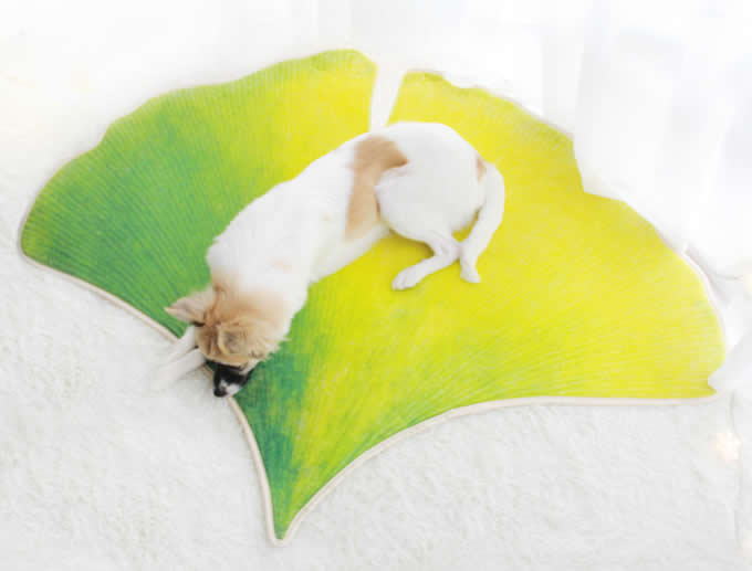 https://www.feelgift.com/media/productdetail/HOME_OFFICE/textiles/Leaf-Shaped-Area-Floor-Mat-Rug-Ginkgo-Leaf-Christmas-gifts-Cool-stuffs-feelgift-2.jpg