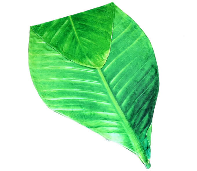  Leaf shape Soft Air Conditioning Blanket- Phrynium Leaf