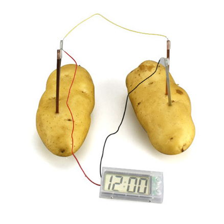 Fruit Powered Clock-cool stuff