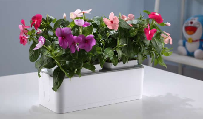 Self Watering Smart Garden Planter