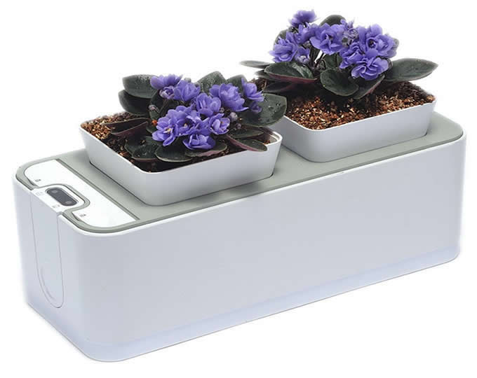 Self Watering Smart Garden Planter