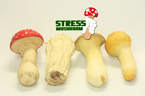 Mushroom Stress Reliever 