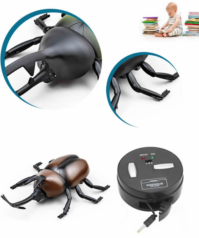Remote Control Simulation Beetle 
