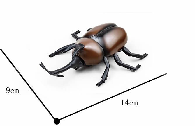 Remote Control Simulation Beetle 