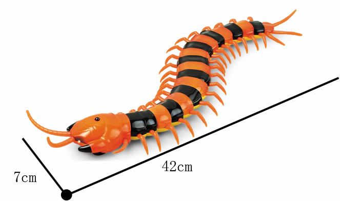 Remote Control Simulation Centipede 