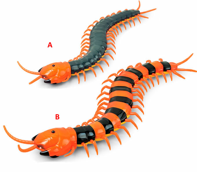 Remote Control Simulation Centipede 