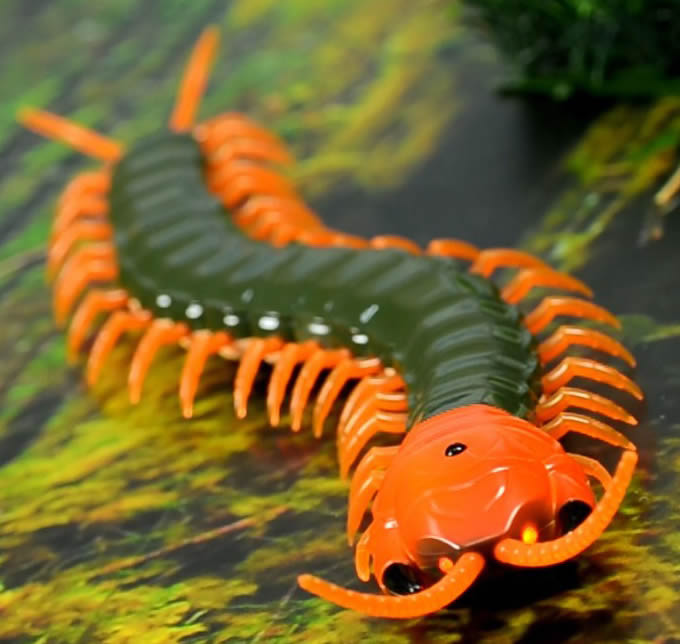 Remote Control Simulation Centipede 